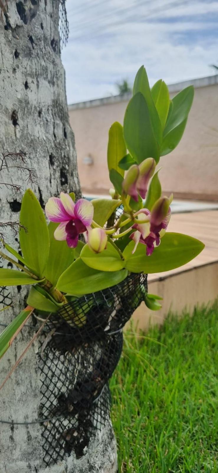 Uma Casa Para O Descanso! Camaçari Esterno foto